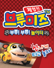 20131118_burmiz_poster.jpg