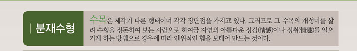 분재수형
            수목은 제작기 다른 형태이며 각각 장단점을 가지고 있다. 그러므로 그 수목의 개성미를 살려 수형을 정돈하여 보는 사람으로 하여금 자연의 아름다운 정감(情感)이나 정취(情趣)를 일으키게 하는 방법으로 경우에 따라 인위적은 힘을 보태어 만드는 것이다.
            